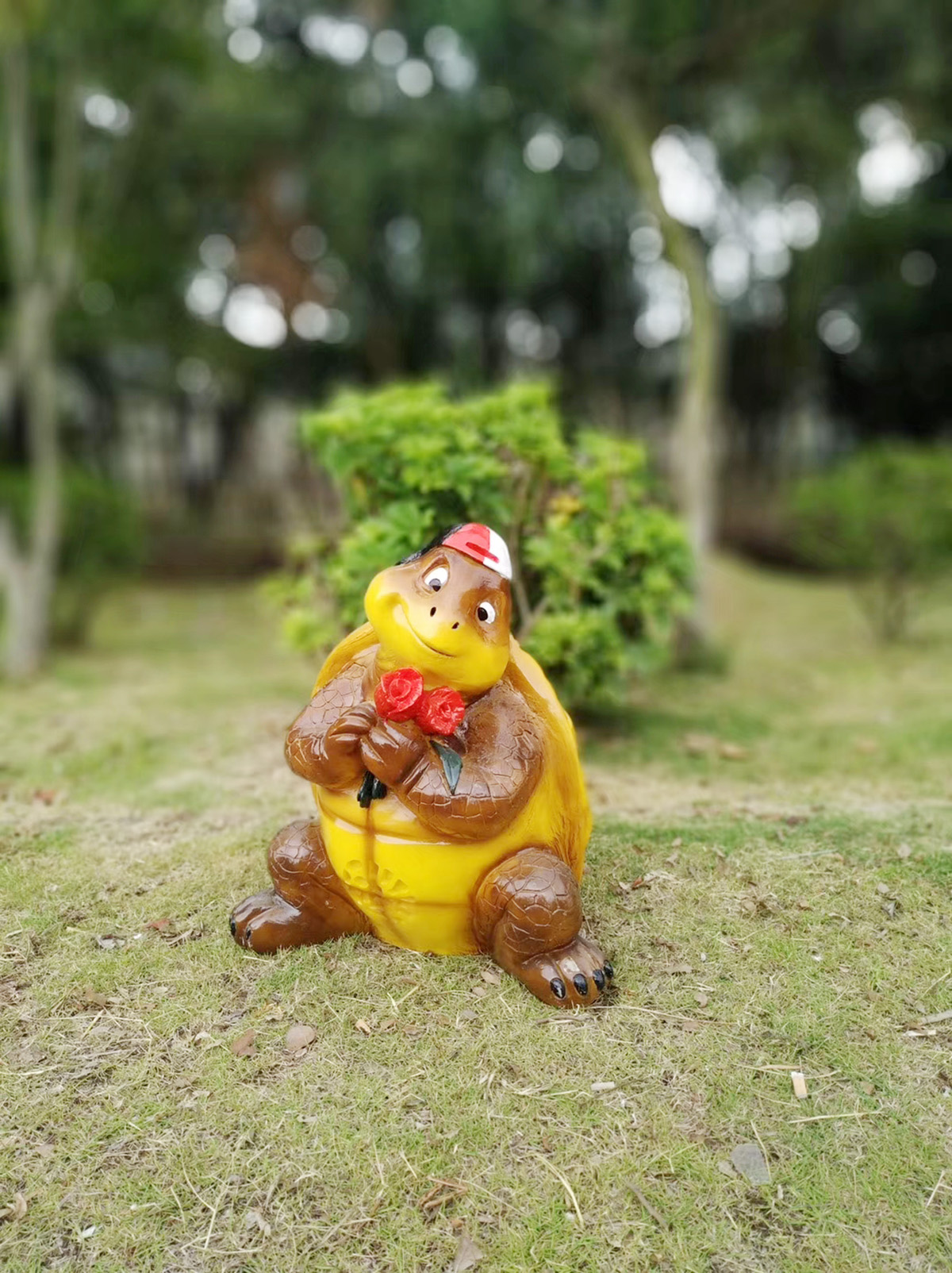 烏龜  價(jià)格